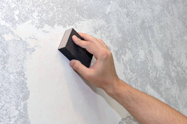 Best Commercial Mold Inspection  in Mount Joy, PA