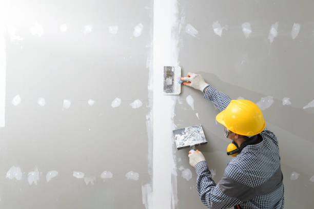 Best Mold Damage Restoration  in Mount Joy, PA