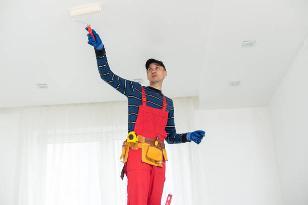 Best Attic Mold Removal  in Mount Joy, PA